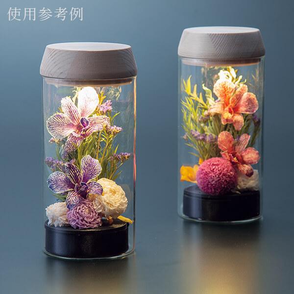 《ドライフラワー 花材》★即日出荷★大地農園 リモニューム スターチス パープル リモニューム リモニウム スターチス ドライフラワー スワッグ 花|y-hanabishi|06