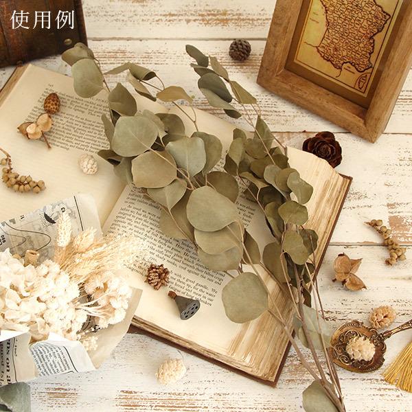 販売済み】超巨大/11/11発見【山芋の花殻】スワッグ/ドライフラワー/花