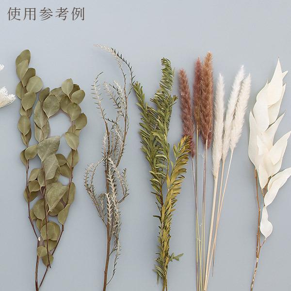 ポイント5倍中 11/03 09:59迄】 ドライフラワー 花材 即日出荷