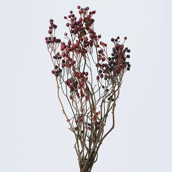 ドライフラワー 花材 即日出荷 野バラの実・トゲつき ナチュラル 花材 素材 材料 パーツ 赤い実 ドライフラワー スワッグ ブーケ 花束 リース 卸 大地農園（Yahoo!・造花ドライフラワー専門問屋花びし）