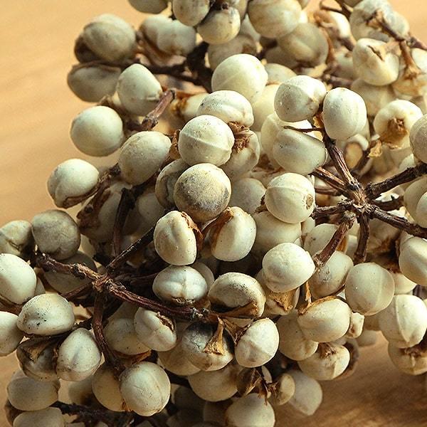 ナンキンハゼの実。ナンキンハゼ。600本。ドライフラワー。即発送致します ドライフラワー 花材 即日出荷 ナンキンハゼ・小 スワッグ ブーケ