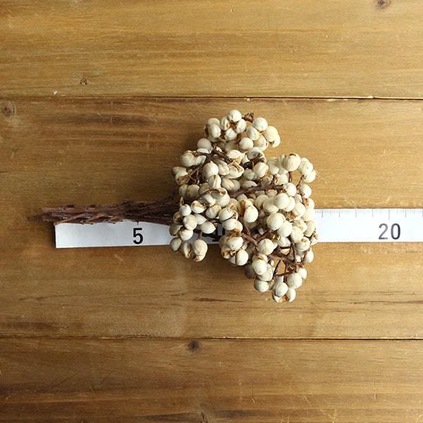 ドライフラワー 花材 即日出荷 ナンキンハゼ・小 スワッグ ブーケ