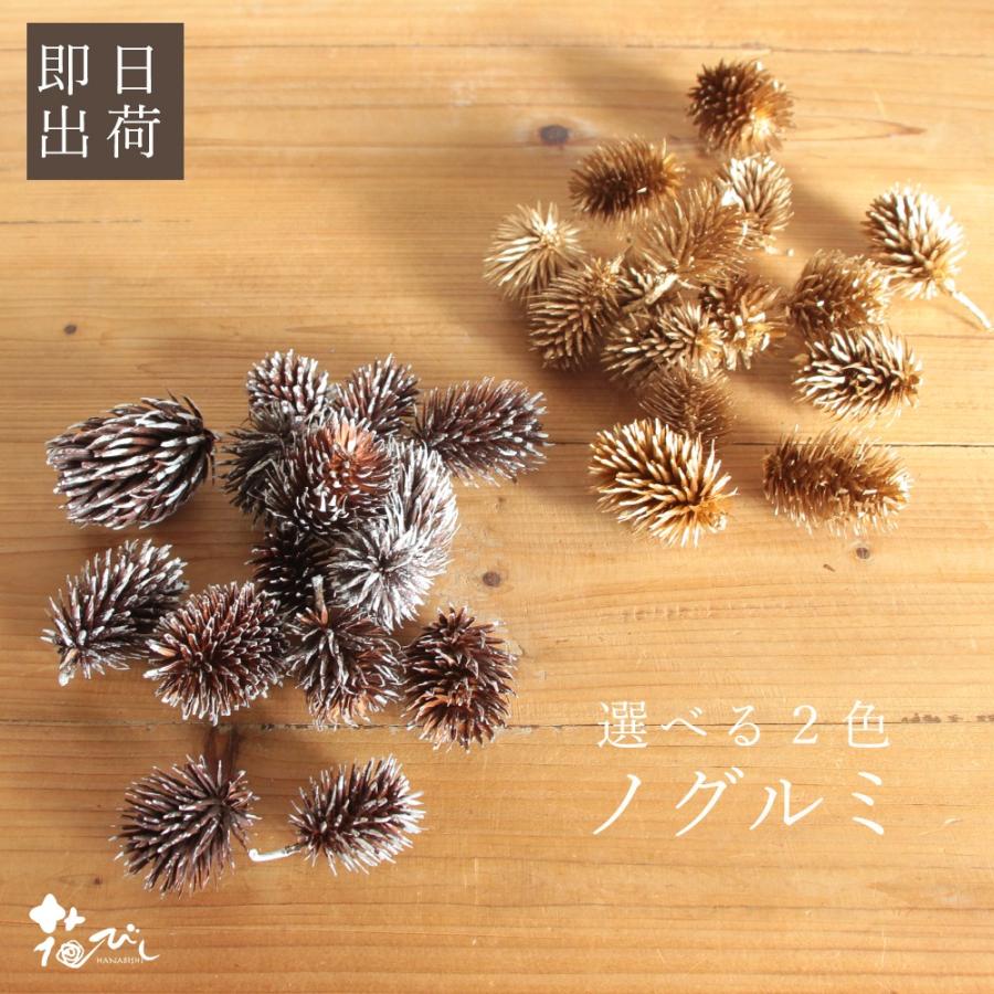 ドライフラワー 花材 即日出荷 ノグルミ 素材 材料 パーツ リース 白