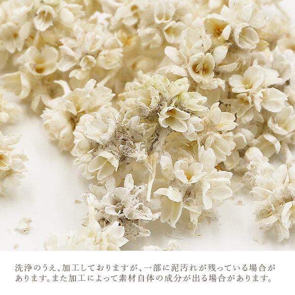 ドライフラワー 花材 即日出荷 フラワーコーン ※説明文をご確認