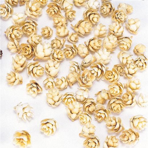 161円 堅実な究極の ドライフラワー 花材 即日出荷 大地農園 タマラックコーン 白 ドライフラワー 木の実 スワッグ リース アレンジ 花材 素材 材料 花 装飾