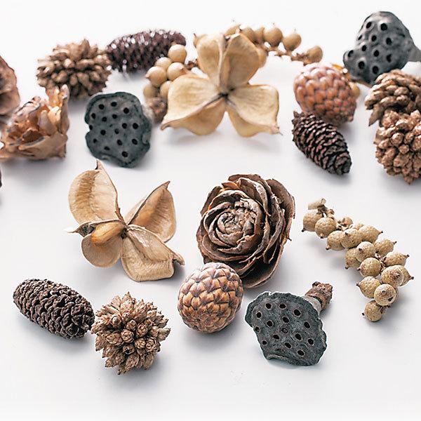 リース材料 木の実他おまとめ お引渡し ドライフラワー 花材 即日出荷 ミックスコーン ナチュラル 木の実