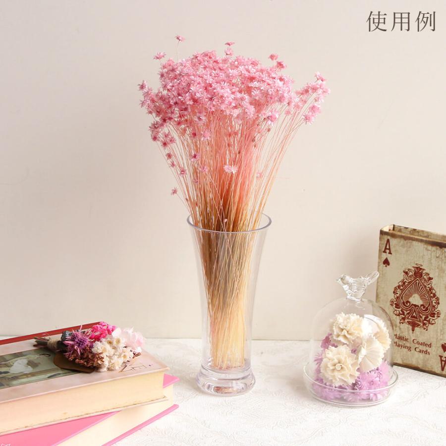 ドライフラワー 花材 即日出荷 スターフラワー・ブロッサム ブライダル