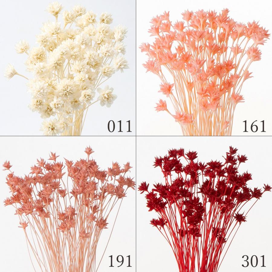 ドライフラワー 花材 即日出荷 ミニコーンフラワー ドライフラワー スワッグ ブーケ ドライフラワー花束 ドライフラワースワッグ リース 花材 卸 大地農園（Yahoo!・造花ドライフラワー専門問屋花びし）