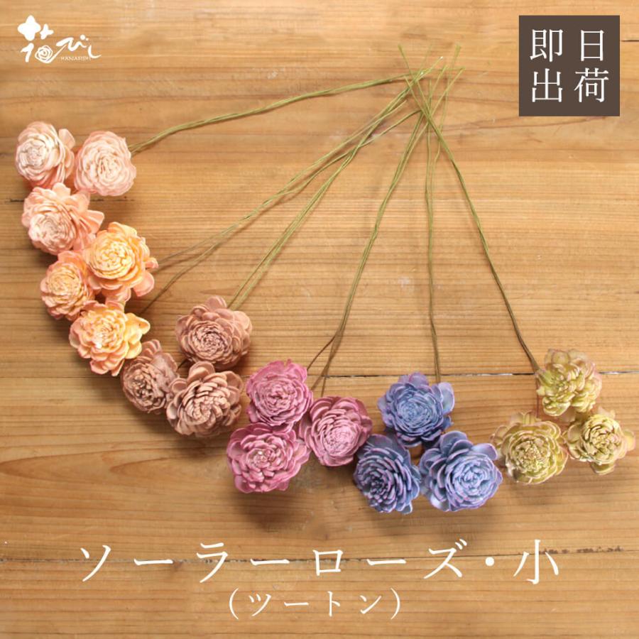 ハンドメイドフラワー 花材 即日出荷 ソーラーローズ・小・ツートン(1束10本) 花材 素材 材料 パーツ.ソラフラワー ローズ バラ ソーラー ピンク 大地農園（Yahoo!・造花ドライフラワー専門問屋花びし）