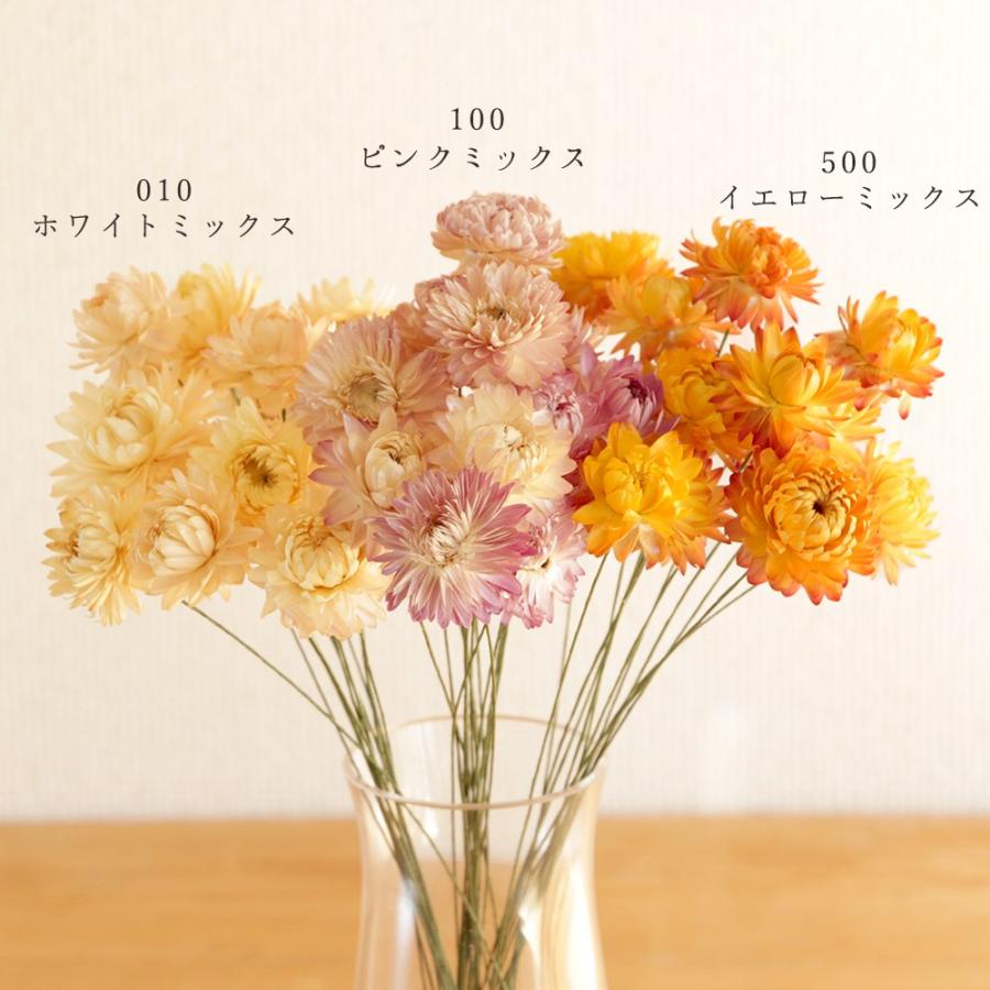 ドライフラワー 花材 即日出荷 ヘリクリサム(ワイヤーステム付) 素材