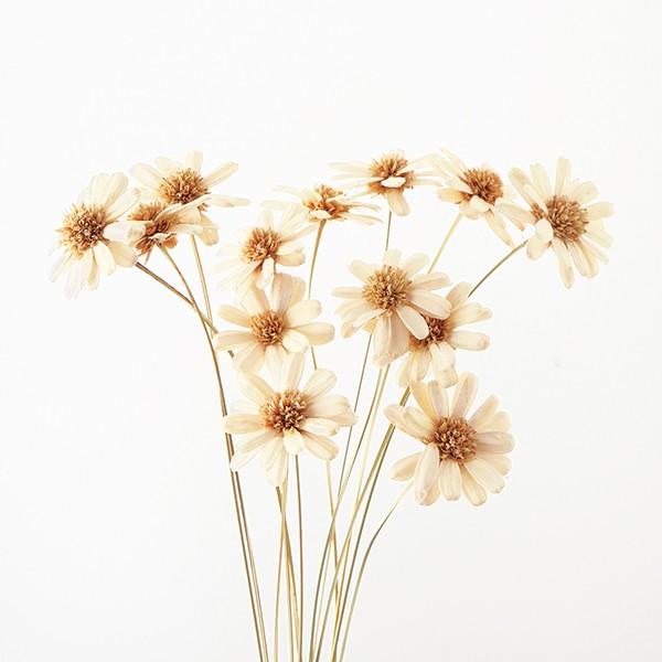 ハンドメイドフラワー 即日出荷 大地農園 マーガレットフラワー ハンドメイドフラワー 白 ハンドメイドフラワー ドライフラワー スワッグ 花 Soh 010 造花ドライフラワー専門問屋花びし 通販 Yahoo ショッピング