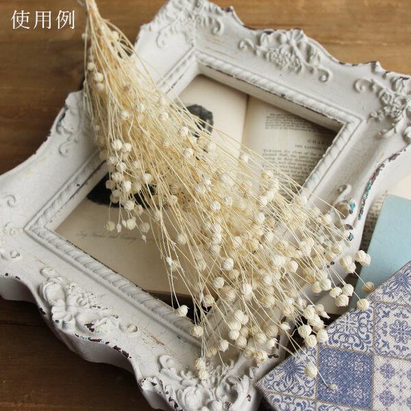 ドライフラワー 花材 即日出荷 リンフラワー 白 プリザーブド