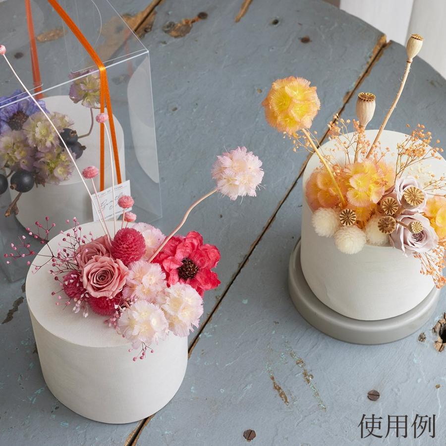 プリザーブドフラワーリース♡ステルンクーゲル✴︎星の球✴︎のリース ドライフラワー 花材 即日出荷 ステルンクーゲル 素材 材料 パーツ