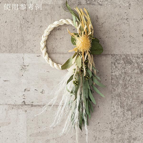 P5倍中 爆買】 ドライフラワー 花材 即日出荷 ユーカリ・エキゾチカ葉