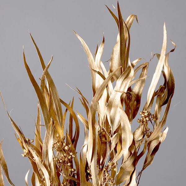 ドライフラワー 花材 即日出荷 ユーカリ・エキゾチカ・葉付 ゴールド