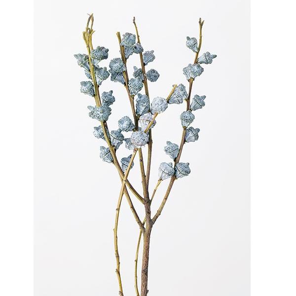 ドライフラワー 花材 即日出荷 大地農園 ユーカリ グロボラス 実 ナチュラル ドライフラワー スワッグ ブーケ ドライフラワー花束 花束 Soh 000 造花ドライフラワー専門問屋花びし 通販 Yahoo ショッピング