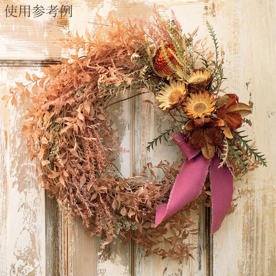 ドライフラワー 花材 即日出荷 コンパクター ナチュラル ドライフラワー 花材 即日出荷 コンパクター ナチュラル