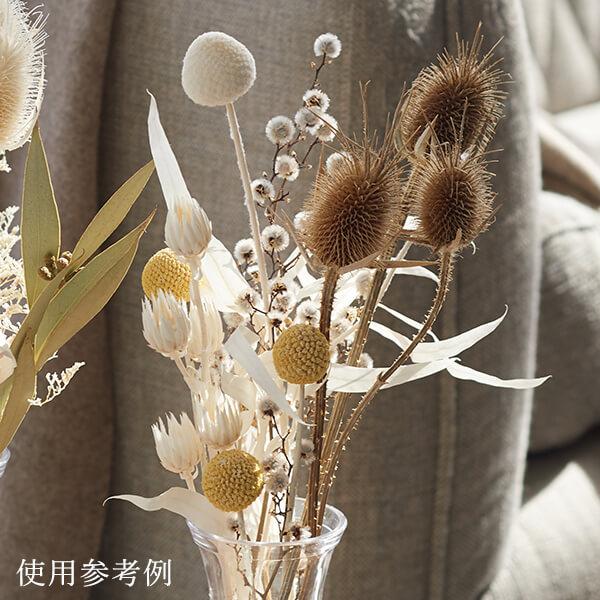 ドライフラワー 花材 即日出荷 【40％OFF】期間限定特価 ビリーボタン 