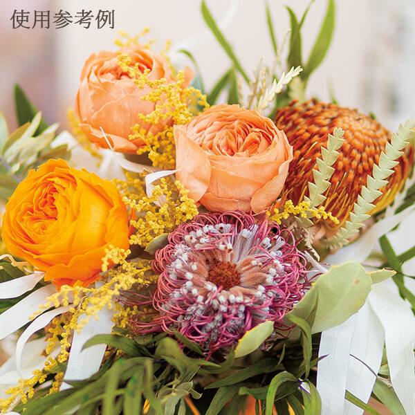 ドライフラワー 花材 即日出荷 バンクシャ・ココシネア ドライフラワー 花材 即日出荷 バンクシャ・ココシネア