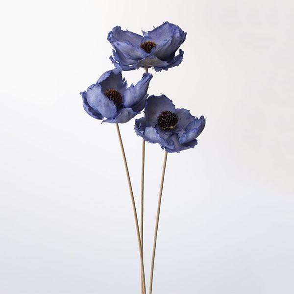 売店 ライムグリーン 花材 大地農園 アスパラ ドライフラワー プリザーブドフラワー スプリンゲリー プリザーブドフラワー