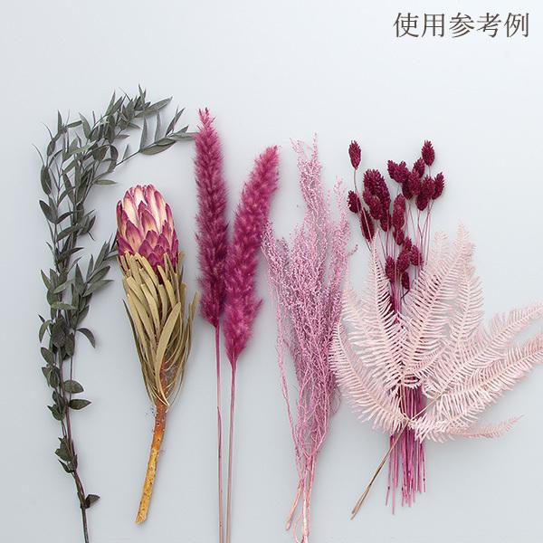 《ドライフラワー 花材》★即日出荷★大地農園 ポアプランツ ワイン 穂 ドライフラワー スワッグ ブーケ ドライフラワー花束 花束 リース アレンジ|y-hanabishi|03