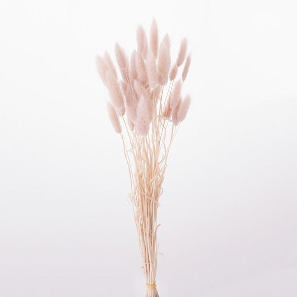 ドライフラワー 即日出荷 大地農園 ピンクベージュ ラグラス 未使用品 花材 ブーケ スワッグ