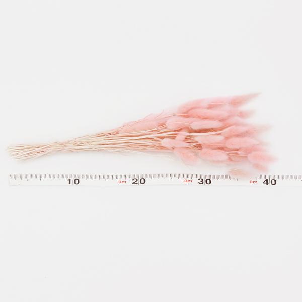 ドライフラワー 即日出荷 大地 ラグラス 大地農園 ドライフラワー スワッグ ブーケ 花材 材料 花束 穂 ナチュラル インテリア アレンジ材料 花 ピンク Soh 450 101 造花ドライフラワー専門問屋花びし 通販 Yahoo ショッピング