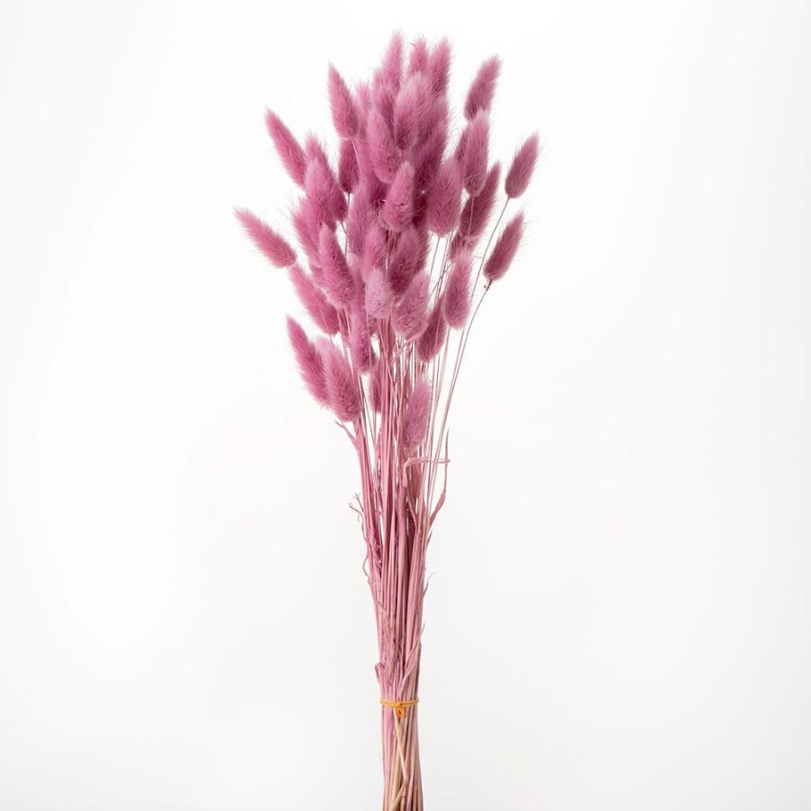 ドライフラワー 花材 即日出荷 ラグラス ピンクパープル 花材 素材 