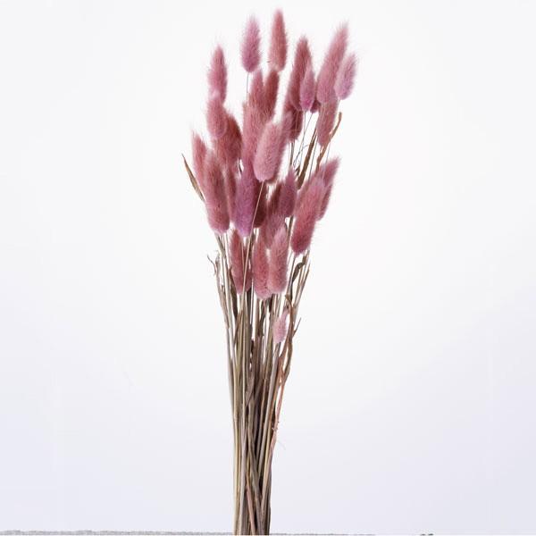 ドライフラワー 即日出荷 大地農園 結婚祝い ラグラス 花材 ブーケ ナチュラルピンク スワッグ