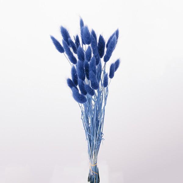 ドライフラワー 花材 即日出荷 【45%OFF】 期間限定特価 ラグラス コバルトブルー 穂 ドライフラワー スワッグ ブーケ ドライフラワー花束 リース 大地農園（Yahoo!・造花ドライフラワー専門問屋花びし）
