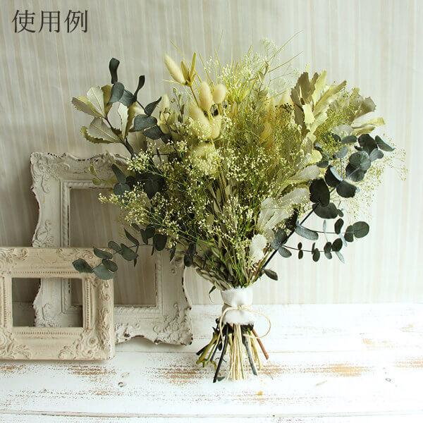 ドライフラワー 花材 即日出荷 ラグラス ツートングリーン 穂 スワッグ