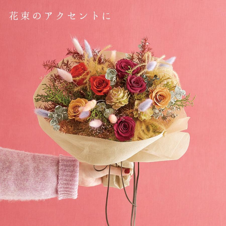 ドライフラワー 花材 即日出荷 ラグラス・ツートン 素材 材料 ドライフラワー 花材 即日出荷 ラグラス・ツートン 素材 材料