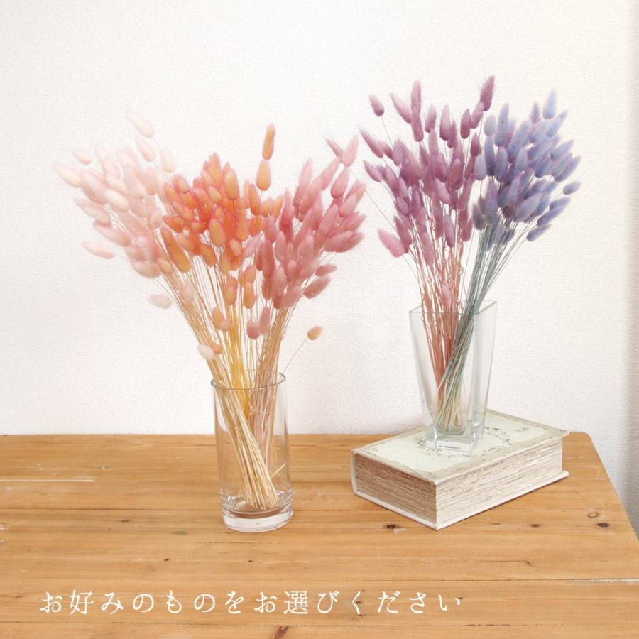 ドライフラワー 花材 即日出荷 ラグラス・ツートン 素材 材料 ドライフラワー 花材 即日出荷 ラグラス・ツートン 素材 材料