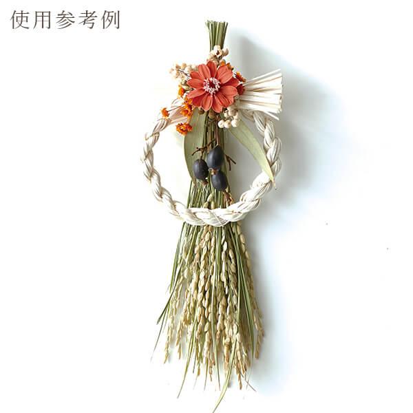 ドライフラワー 花材 即日出荷 イナホ 〇 ナチュラルグリーン ドライフラワー 花材 即日出荷 イナホ 〇 ナチュラルグリーン