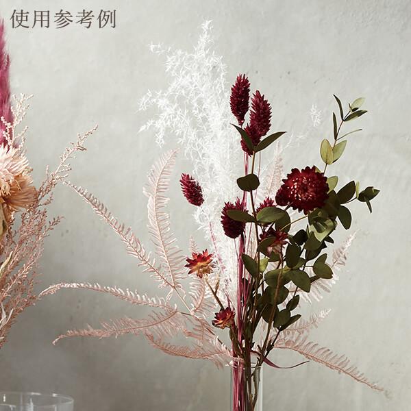 プリザーブドフラワー 花材 即日出荷 山シダ ピンクベージュ プリザーブドフラワー 花材 即日出荷 山シダ ピンクベージュ