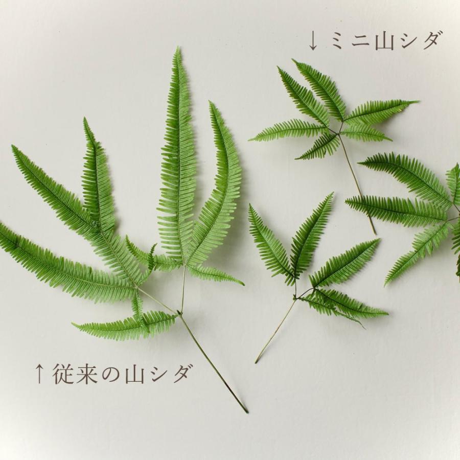 プリザーブドフラワー 花材 即日出荷 ミニ山シダ・プリザーブド