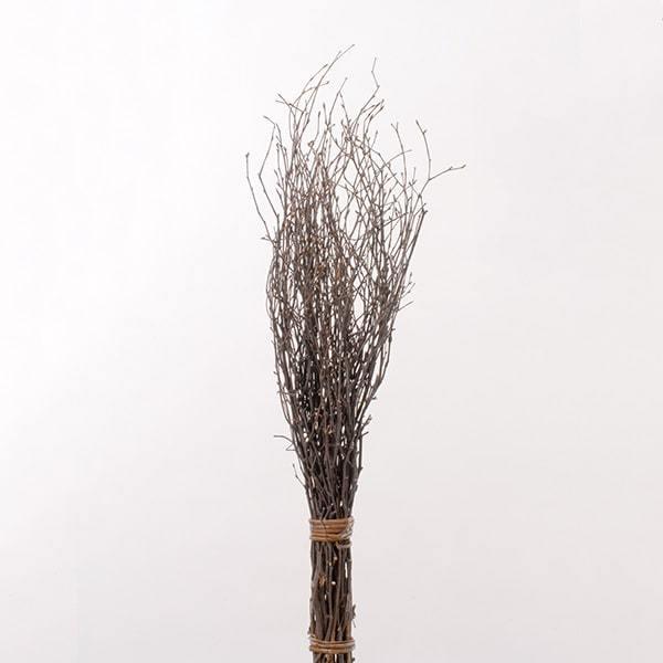 ドライフラワー 花材 即日出荷 白樺小枝・70cm ナチュラル 枝 白樺 ドライフラワー スワッグ ブーケ ドライフラワー花束 ドライフラワースワッグ 大地農園（Yahoo!・造花ドライフラワー専門問屋花びし）