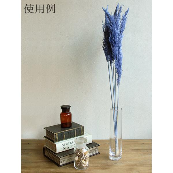 P5倍中 2/2 09:59迄】 ドライフラワー 花材 即日出荷 プルームリード