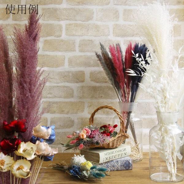 ドライフラワー 花材 即日出荷 テールリード モーブピンク ドライフラワー 花材 即日出荷 テールリード モーブピンク