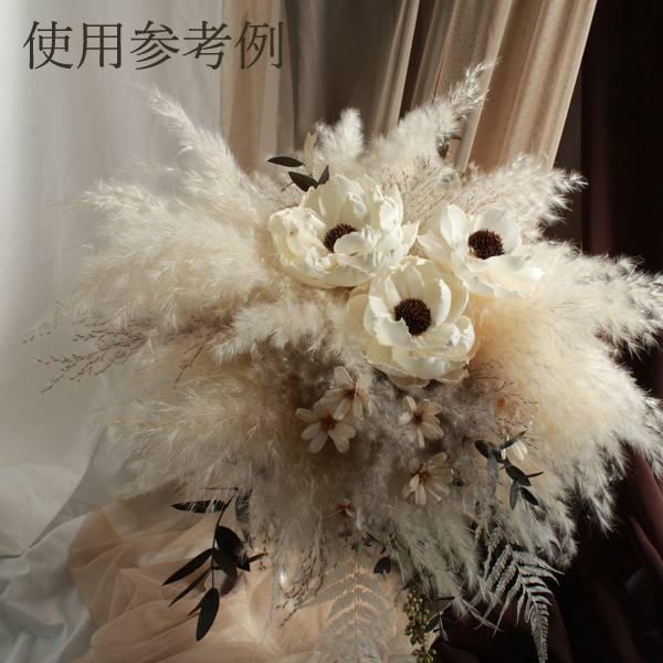 ドライフラワー 花材 即日出荷 テールリード・ミニ パールグレー