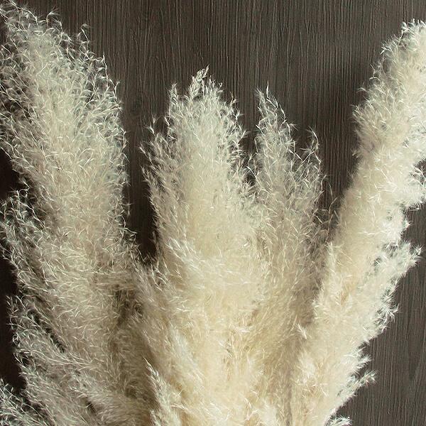 ドライフラワー 即日出荷 大地農園 ビッグテールリード 大地農園 ドライフラワー スワッグ ブーケ 花材 白 Soh 011 造花ドライフラワー専門問屋花びし 通販 Yahoo ショッピング