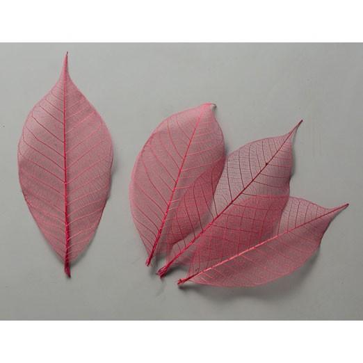 ドライフラワー 即日出荷 大地農園 特価 ミニスケルトンリーフ 大 ラズベリー Soh 260 造花ドライフラワー専門問屋花びし 通販 Yahoo ショッピング