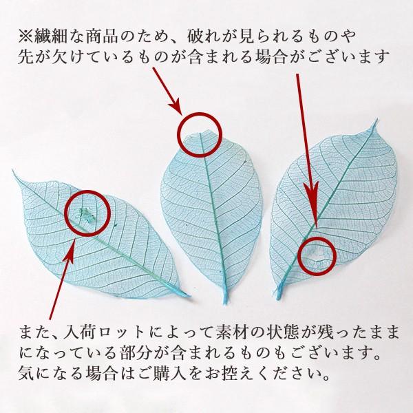 ドライフラワー 即日出荷 大地農園 ミニスケルトンリーフ 大 プラチナ 葉脈 花材 材料 ドライ 自然素材 ナチュラル アクセサリー材料 インテリア Soh 932 造花ドライフラワー専門問屋花びし 通販 Yahoo ショッピング