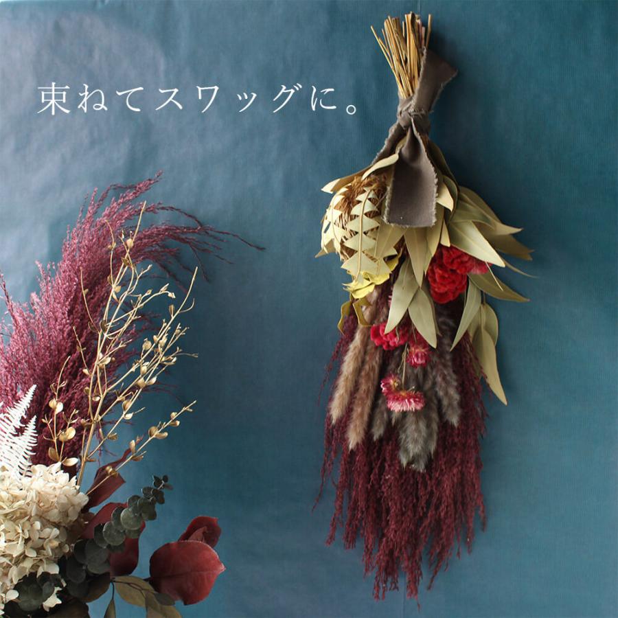 ドライフラワー 花材 即日出荷 フェザーパンパス 〇 ドライフラワー 花材 即日出荷 フェザーパンパス 〇