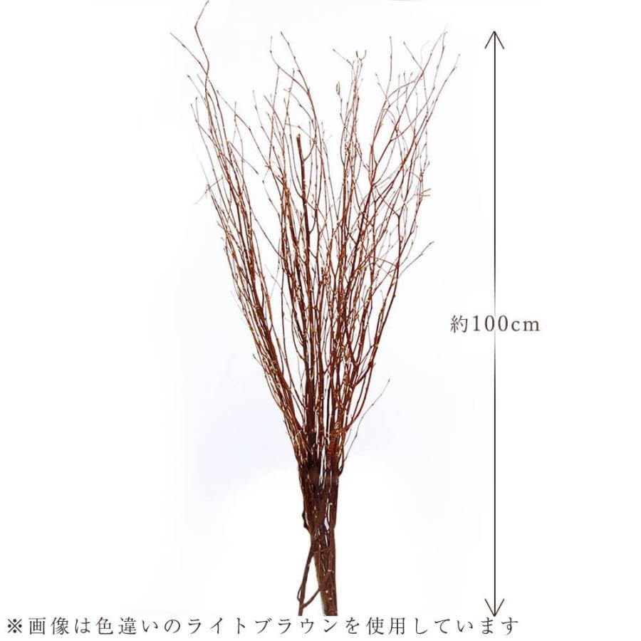 ドライフラワー 花材 即日出荷 白樺小枝 1m ナチュラル 枝 白樺