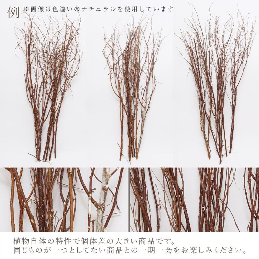 ドライフラワー 花材 即日出荷 白樺小枝 1m ナチュラル 枝 白樺
