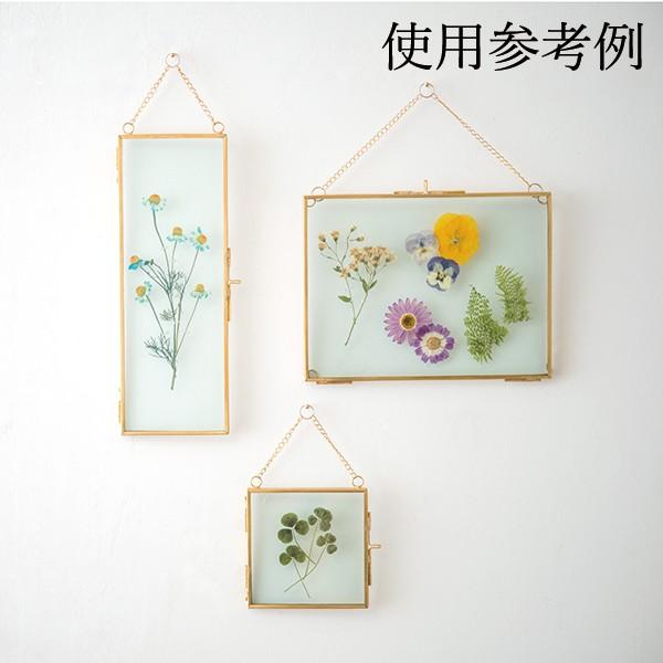 インテリア フレーム 額縁 即日出荷 Posh Living ガラスフレーム レクトs ゴールド 壁面 壁 フレーム 額縁 額 インテリア Sps 造花ドライフラワー専門問屋花びし 通販 Yahoo ショッピング