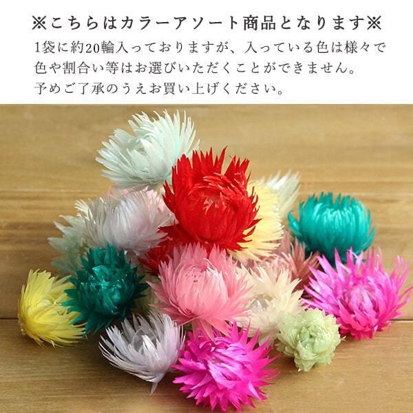 てらっちページ ドライフラワーチャーム 他 Number_i 名入れ9点 てらっちページ ドライフラワーチャーム 他 Number_i 名入れ9点