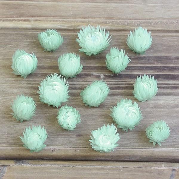 専用＊シルバーリーフ＆グリーン ドライフラワースワッグ シルバーリーフとコットンのスワッグ№3 ドライフラワースワッグ