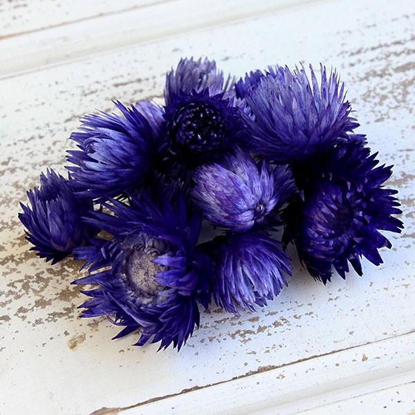 ドライフラワー 花材 即日出荷 シルバーデイジーヘッド ダークパープル シルバーデージー 花材 素材 材料 パーツ ドライフラワー スワッグ 花束 東方貿易（Yahoo!・造花ドライフラワー専門問屋花びし）